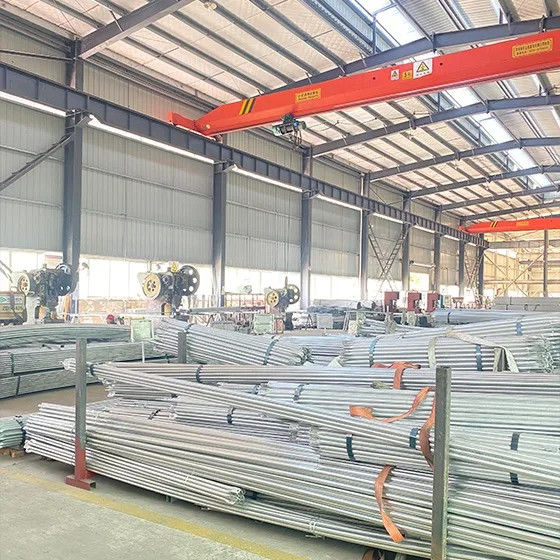 China Sichuan Xinglong Excellence Development Science and Technology Co., Ltd. Perfil de la compañía