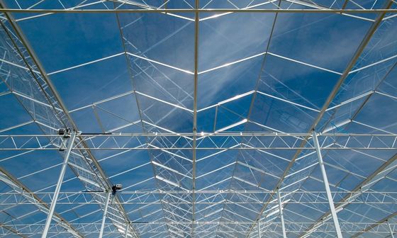 Invernadero de vidrio transparente con tuberías de aluminio y zinc