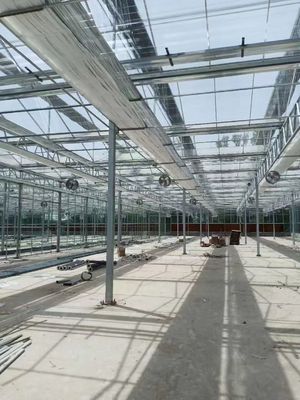 Invernadero de vidrio rectangular moderno con durabilidad y protección UV