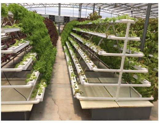 Sistema hidropónico LED con riego automático de lana de roca de cultivo medio Control manual del pH